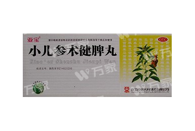 小儿参术健脾丸